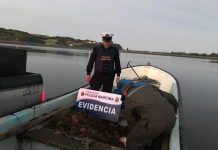 En Chiloé personal de la Armada detuvo a sujetos por sustraer especies desde área de manejo