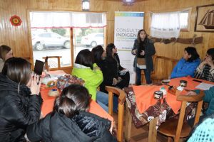 Reunión informativa de Consulta Indígena en Llanquihue termina en escándalo