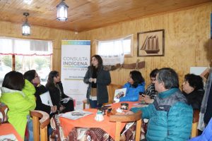 Reunión informativa de Consulta Indígena en Llanquihue termina en escándalo
