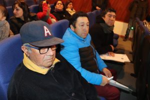 Reunión informativa de Consulta Indígena en Llanquihue termina en escándalo