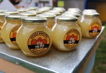 Puerto Montt consolida en Alerce el primer Apiario Municipal de Chile