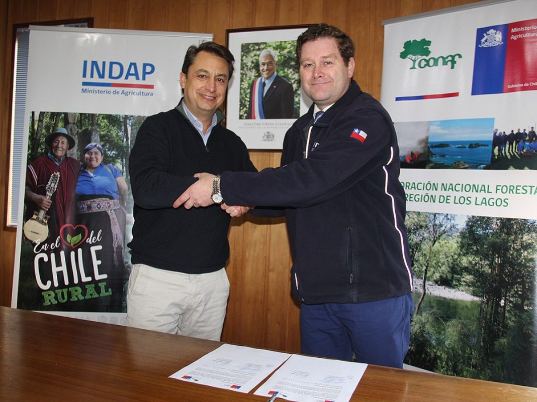 indap-y-conaf-potenciaran-la-agroforesteria-y-las-practicas-sustentables-en-pequenos-productores-agricolas-de-la-region-de-los-lagos-86d1ca0248cccabef7b11c723a599b38