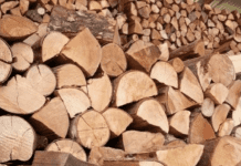 Se extiende plazo para postular al Sello de Calidad de Leña en la región