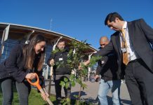 Hospital de Osorno conmemoró día internacional del árbol