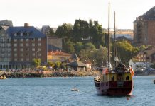 Representantes Internacionales dispondrán de app para gastronomía y turismo en APEC