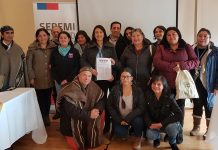 Seremi de Salud conformó Mesa regional de Salud Intercultural