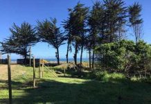 Multas sobre 70 millones de pesos arriesgan quienes ofrezcan venta de terrenos con playas privadas