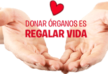 Escasos número de donantes de órganos registra la región de Los Lagos