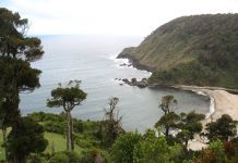 Alcaldes de Río Negro y San Juan de la Costa llaman a la calma por tsunami