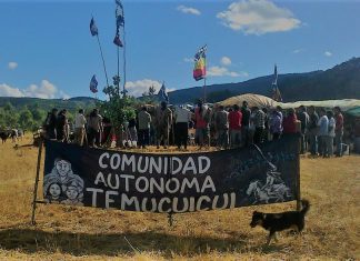 Gremios regionales de la Araucanía valoraron operativo en Temu Cui Cui y respaldaron las nuevas atribuciones del Estado de Emergencia en la zona