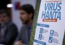 Refuerzan campaña de prevención del hantavirus en Puerto Montt