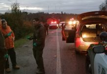 Encapuchados asaltan planta distribuidora CCU en Valdivia: Cortaron árboles para bloquear camino