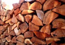 Incertidumbre en la venta de leña seca en Osorno pone en tela de juicio el Plan de Descontaminación