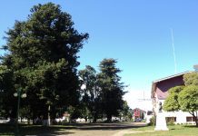 Purranque: Aprueban más de 800 millones para mejoras en salud y obras públicas