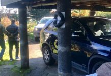 En la cárcel Alto Bonito quedó conductor que atropelló y dio muerte a estudiante