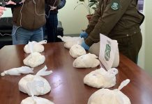 Más de 43 mil dosis de droga incautó Carabineros de Alerce Puerto Montt