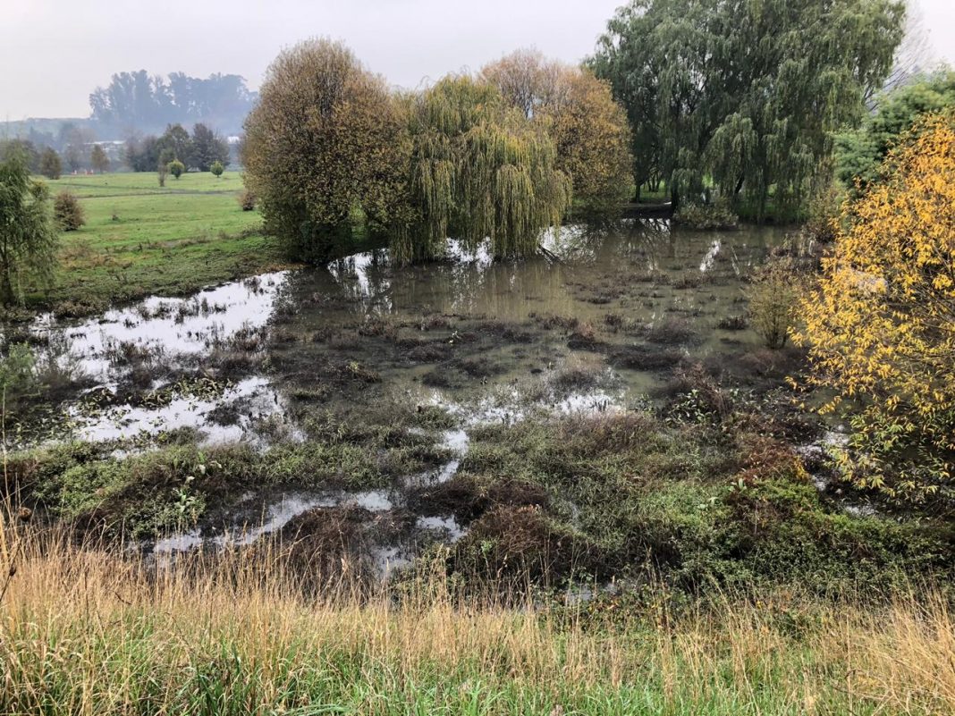 PHOTO-2019-05-25-15-17-46