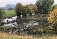 Essal presentó trabajos para reforzar la infraestructura sanitaria del Parque Francke