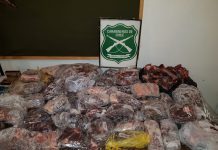 Carabineros detuvo a implicados en delito de abigeato