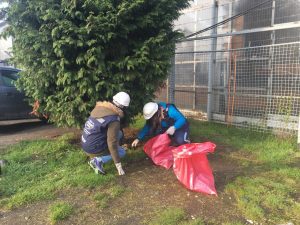 Estudiantes de INACAP limpiaron sector costero de Puerto Montt