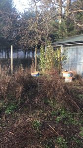 AGROQUÍMICOS: En la mira de verdaderas mafias de delincuentes