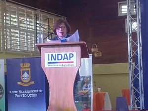 El Día del Campesino fue celebrado en Puerto Octay con representantes del mundo rural de toda la Región.