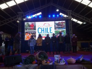 El Día del Campesino fue celebrado en Puerto Octay con representantes del mundo rural de toda la Región.