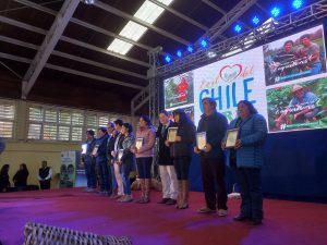 El Día del Campesino fue celebrado en Puerto Octay con representantes del mundo rural de toda la Región.