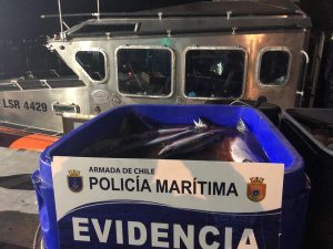 Detienen a 14 personas por robo de salmón en Quellón. Investigación duró un mes