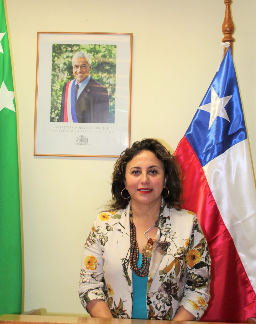 SERMI DE GOB COLUMNA