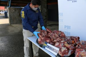 Desarticulan comercio clandestino de carne en San José de la Mariquina