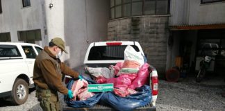 Detienen a hombre por mantener un matadero ilegal en Mariquina