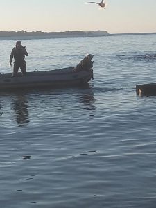Detectan contaminación con aguas servidas en Ancud. Essal en la mira