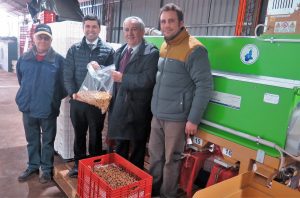 La región de Los Lagos aumentó en tres años un 68,7% la superficie de cultivos frutales