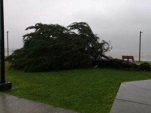 Diversos hechos han marcado la tónica a pocas horas de inicio de Fiestas Patrias 