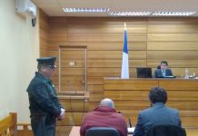 Chofer que atropelló a menor fue formalizado por cuasidelito de homicidio