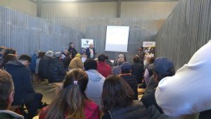 Machos de lechería serán parte de resurgimiento de la ganadería