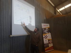 Machos de lechería serán parte de resurgimiento de la ganadería