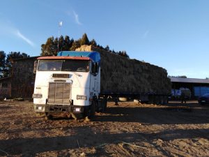 "Los Magníficos": No paran de ayudar a Salamanca, en titánica lucha contra la sequía