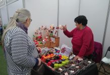 Semana de la Pyme busca potenciar a los emprendedores de la región de Los Lagos con una serie de actividades