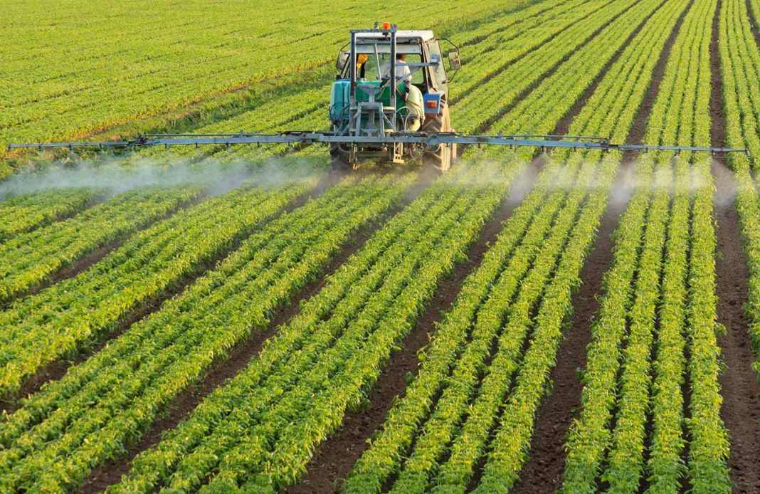 Agricultura-a-lo-grande-con-micro-y-nanofertilizantes