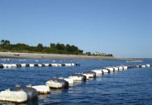 Experto en políticas medioambientales aseguró que el sector acuícola ha actuado de forma irresponsable