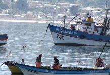 Gobierno irá al TC para evitar anulación de la Ley de Pesca