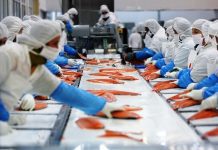 26% de la fuerza de trabajo en Los Lagos es parte de un pueblo originario