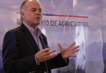 101 mil hectáreas de bosque, 312 casas quemadas y un piloto fallecido en incendios forestales en el país