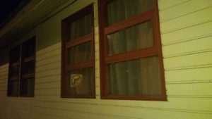 Cuatro personas fueron detenidas por apedrear municipalidad en Puerto Octay