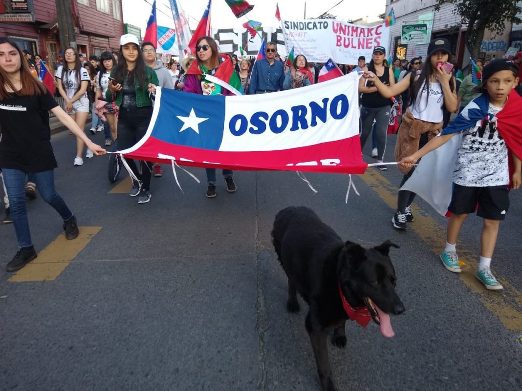 WhatsApp Image 2019-11-27 at 15.16.09