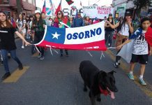 Actores sociales en Osorno a 40 días de la crisis social: Se han puesto las demandas sociales en la palestra nacional