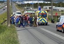 Buscan a camión que protagonizó atropello de peatón con resultado de muerte