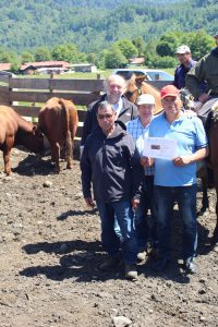 Entregados 2 toros seleccionados, a ganaderos de Agricultura Familiar de INDAP